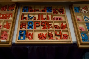 3216391956_ec121f482b