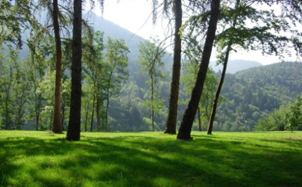 vie_del_se_day450x280